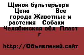 Щенок бультерьера › Цена ­ 35 000 - Все города Животные и растения » Собаки   . Челябинская обл.,Пласт г.